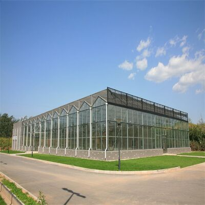 Venlo Structure Greenhouse For Agriculture