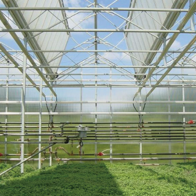 Venlo Structure Greenhouse For Agriculture