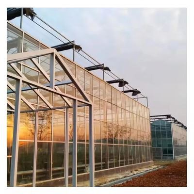Venlo Structure Greenhouse For Agriculture